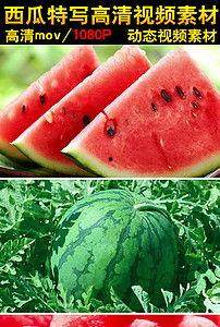 吃大瓜视频素材免费下载,免费下载尽享娱乐盛宴