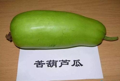 爬藤的葫芦瓜可以吃吗视频,这种瓜果真的能食用吗？