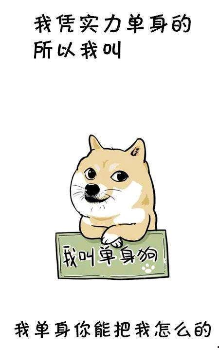 单身狗快乐吃瓜视频大全,快乐吃瓜视频大全，笑出腹肌的欢乐时光