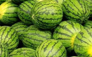 外国吃瓜围观反应视频,外国视角下的中国吃瓜反应，笑料百出！