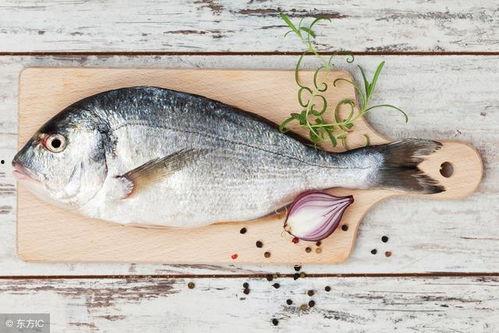 吃籽瓜能吃鱼吗视频教程,揭秘吃籽瓜与鱼同食的神奇搭配