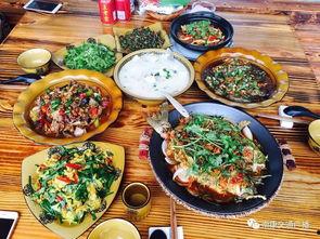 赶鸡吃瓜摘菜视频,田园生活的趣味瞬间